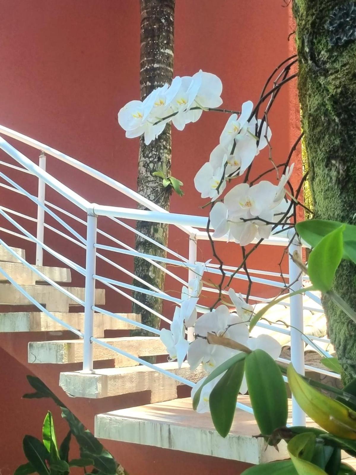 Vila Jabutis Guarujá Exterior photo